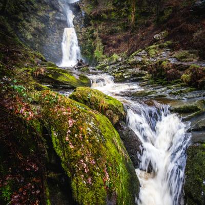 The onward flow