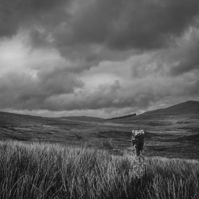 Bleak, but beautiful